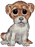 Buddy copyright tcastle.com